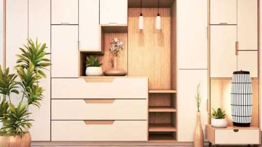 A room with sleek and wood decor, a plant, and customized wardrobes creates a personalized look.