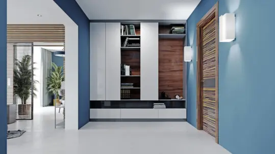 Modern blue hallway with white floors, featuring hinged wardrobes and a plant for added style.