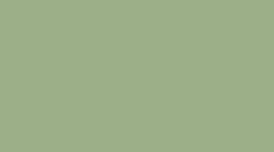 Sage Green — nature comes indoors living room colour