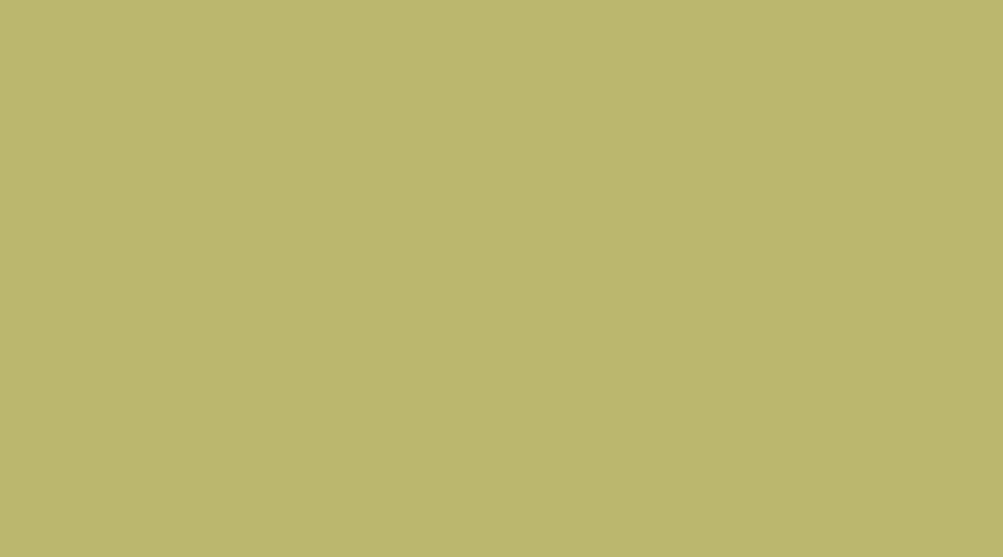 Olive Green — deep, luxurious comfort living room colour